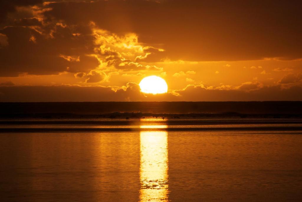 The Black Pearl Beachside Apartments ราโรทองกา ภายนอก รูปภาพ